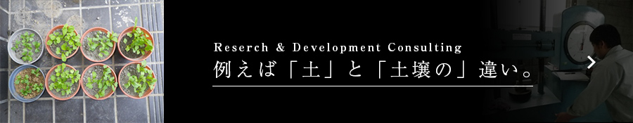 Reserch & Development Consulting